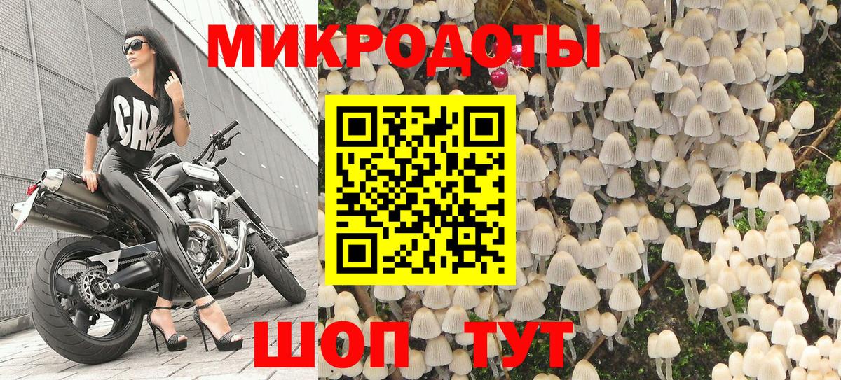 Галлюциногенные грибы Magic Shrooms Губкин